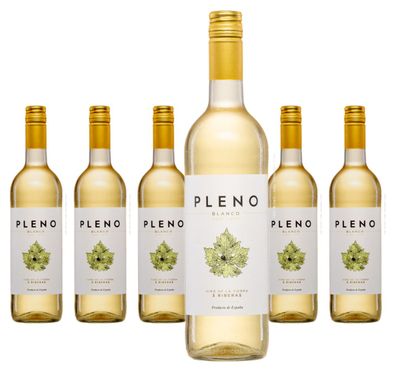 6 x Bodegas Agronavarra Pleno Blanco Semi-Dry – 2024