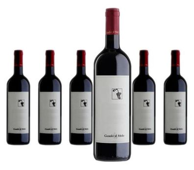 6 x Guado al Melo Bacco In Toscana Toscana Rosso – 2021