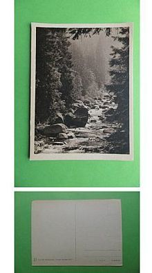 Bildkalender "Freude im Jahr 1952" - Gebirgsbach im Tannenwald - (D-H-Motiv93)