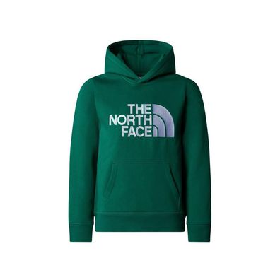Hoodie The North Face Drew Peak P/O Grén