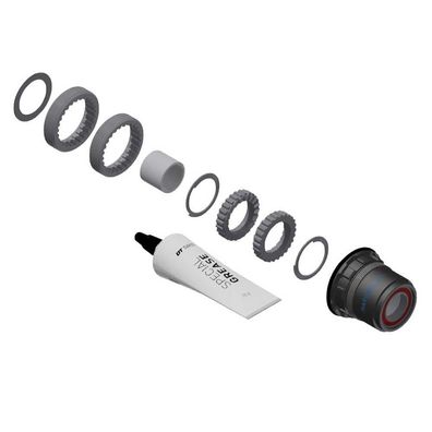 Fahrradzubehör DT Swiss Kit de conversion Ratchet LN grau
