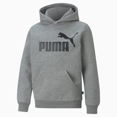 Kapuzensweatshirt Puma Essentials Grau