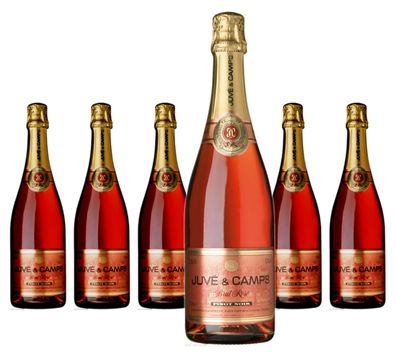 6 x Juvé & Camps Cava Pinot Noir Rosé Brut
