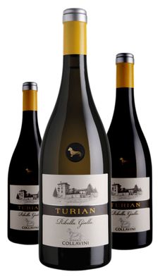 3 x Collavini Turian Ribolla Gialla DOC Friuli Colli Orientali – 2020