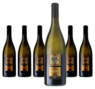 6 x Velenosi Vini Vigna Solaria Falerio dei Colli Ascolani DOC – 2022