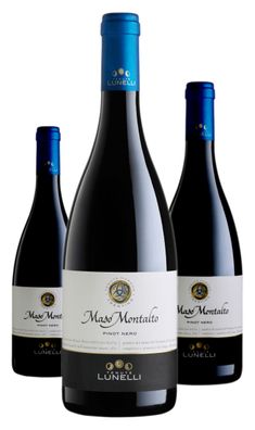 3 x Tenuta Margon Maso Montalto Trentino Pinot Nero DOC – 2021