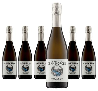 6 x Weingut In den Zehn Morgen Blanc de Blancs Brut Nature – 2020