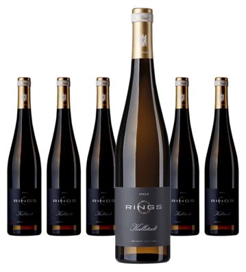 6 x Rings Riesling vom Kalk trocken – 2021