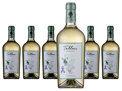 6 x Cotarella - Famiglia Cotarella Tellus Chardonnay Bianco Lazio IGP – 2024
