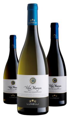 3 x Tenuta Margon Villa Margon Trentino Chardonnay DOC – 2021