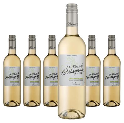 6 x Plaimont Fleur De D'Artagnan Blanc – 2024