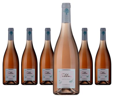 6 x Cotarella - Famiglia Cotarella Tellus Rosé di Syrah Lazio IGT – 2024