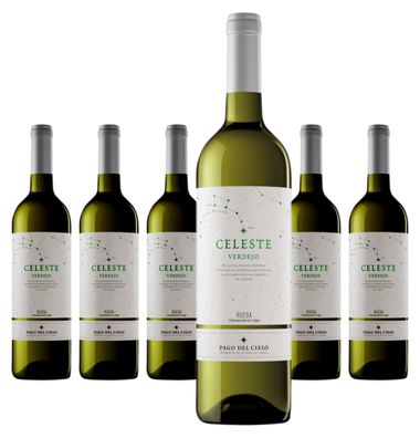 6 x Miguel Torres Celeste Verdejo – 2024