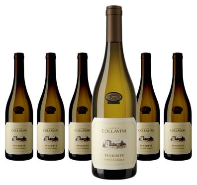 6 x Collavini Benedete Ribolla Gialla IGT Venezie Giulia – 2024