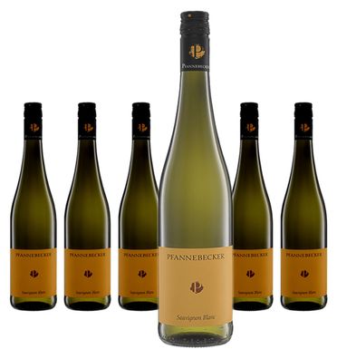 6 x Pfannebecker Sauvignon Blanc – 2025