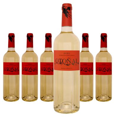6 x Bodegas Olarra Otonal Blanco Rioja DO – 2024