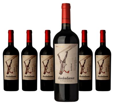 6 x Kaiken Wines Disobedience – 2021