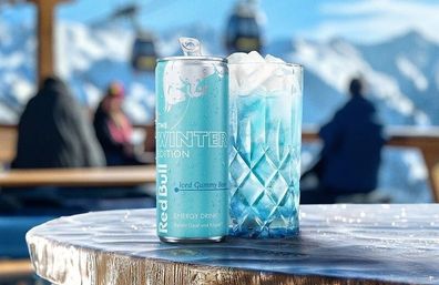 24x Iced Gummy Bear Red Bull Österreich Edition Winter Edition 2024