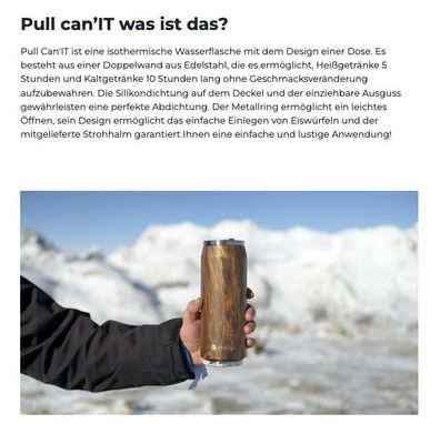 LES Artistes Thermo Dose Pull Can'It 280ml Holz Wood