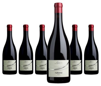 6 x Cantina Andrian rubeno lagrein DOC – 2024