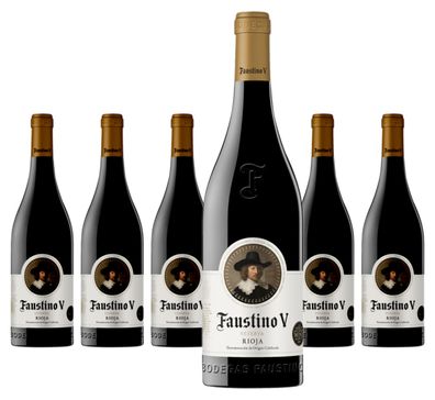 6 x Faustino V Reserva Rioja D.O. – 2016