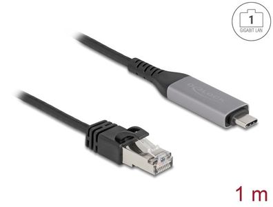 Delock USB LAN Kabel USB Type-C? zu RJ45 Gigabit Ethernet 1 m