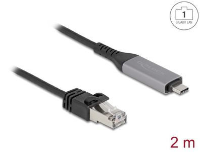 Delock USB LAN Kabel USB Type-C? zu RJ45 Gigabit Ethernet 2 m