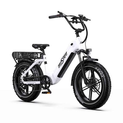 E-Bike Cityrad OT08 herren Elektrofahrrad 20 * 4.0 Zoll 18AH 48V 864WH damen