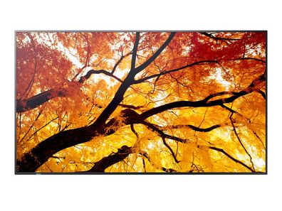 M322 32IN LFD FHD D-LED 450CD/QM 24/7 USB MP