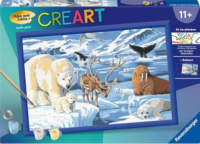 Ravensburger CreArt 28909 - Tiere der Arktis - Malen nach Zahlen für Kinder ab 11 Jah