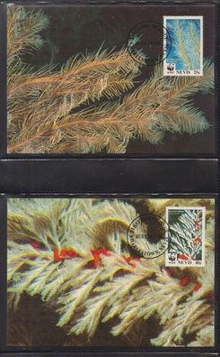 Nevis 1994 Maxinunkarten MiNr. 836-839 WWF Schwarze Koralle