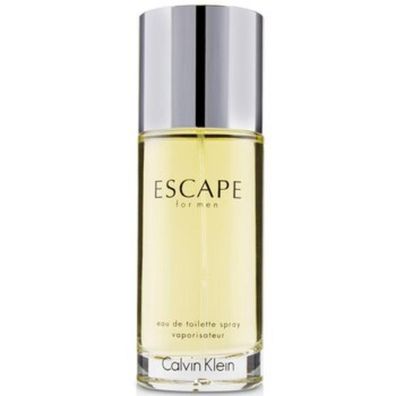 Parfum Calvin Klein Escape for Men 100 ml