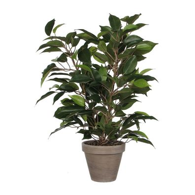 Kénstliche Pflanze Mica Decorations Ficus Natasja Grén