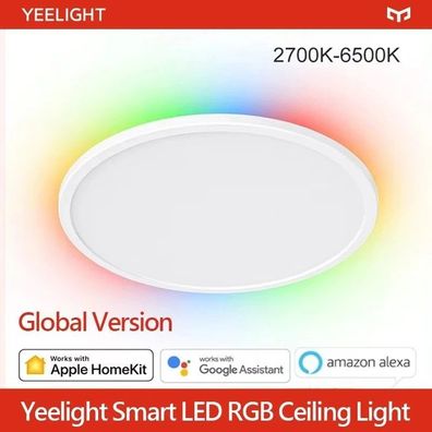 Smart Ceiling Light, RGB, Wi-Fi & Voice Control