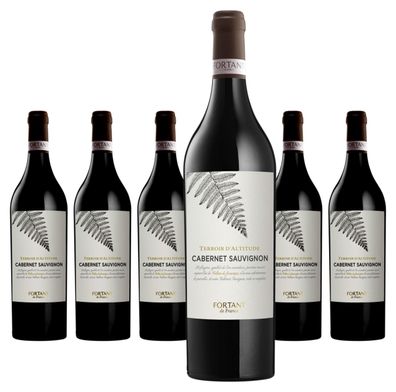 6 x Fortant de France Cabernet Sauvignon Terroir d'Altitude – 2024