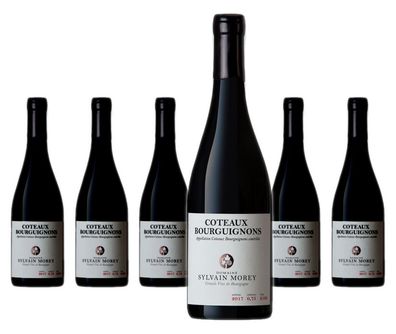 6 x Domaine Sylvain Morey Coteaux Bourguignons – 2022