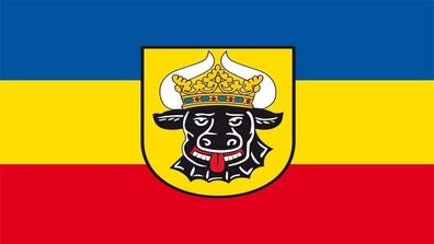 Fahne Flagge Mecklenburg Ochsenkopf - 150 x 250 cm