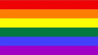 Fahne Flagge Regenbogen LGBTQ - 150 x 250 cm