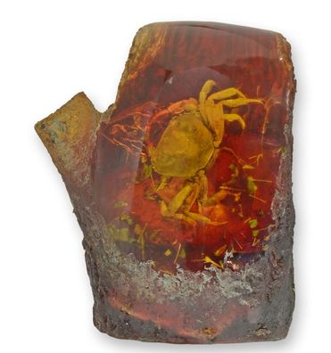Künstliches Bernstein-Fossil Krebs Krabbe Replikat Retro Design Dekoration