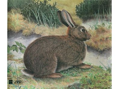 JVD Tierbild Scheibenauflage Kaninchen