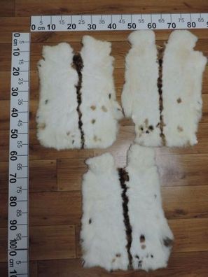 TOP XXL Kaninchenfell Kaninchen Fell Kanin Pelz Rasse: Schecken dreifarbig
