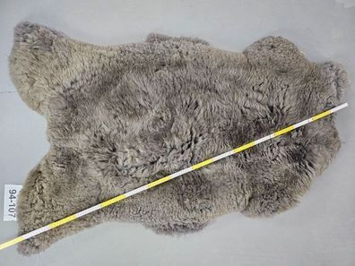 Schaffell grau XXL Unikat 94-107