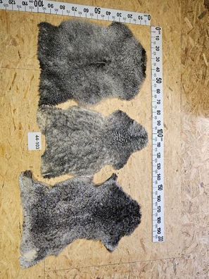 Echtes Gotland Öko Schaffell Unikat 44-103