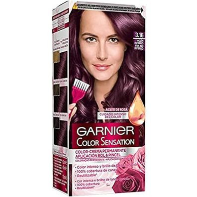 Garnier Color Sensation 3,16 Intense Violin