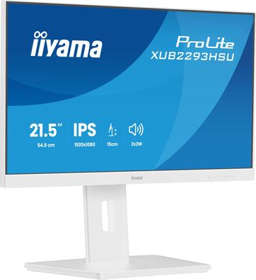 IIYAMA 54.5cm (21,5") XUB2293HSU-W7 16:9 HDMI+DP+2xUSB