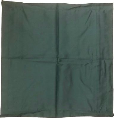 Bassetti Kissenhülle zu BW UNI AGAVE 1270 40x40 * 9324577 HW23