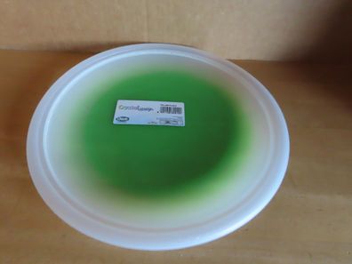 Teller Flach Speiseteller Kunststoff grün 25 cm Ø Crystal Way
