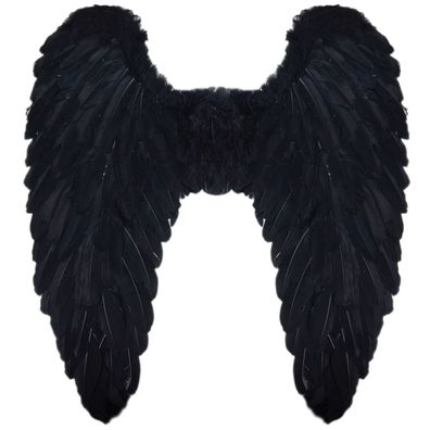Engelsflügel schwarz 65x65 cm Boland