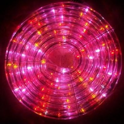 LED Lichtschlauch 8m 160 bunt 16 weiss blinkende Blachere JNLF80