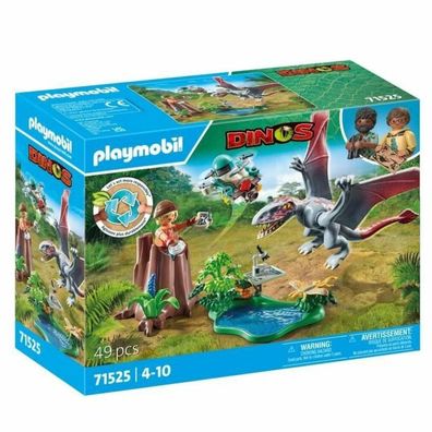 71525 Dinos Beobachtungsstation für Dimorphodon
